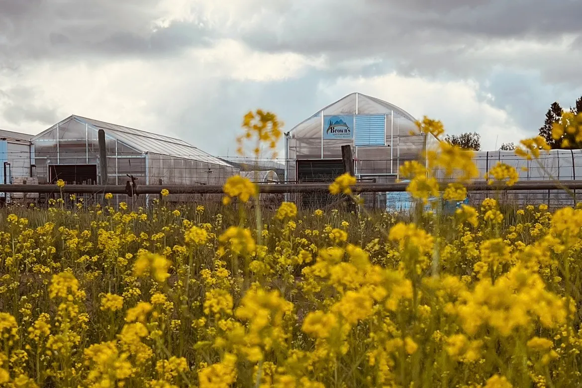 Montana landscape near Brown's Greenhouse